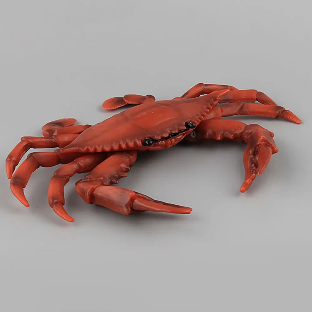 Sea Animal Red Crab Models Simulation Crabs Figurine Scenes Making Micro Landscape Realistic Gift  Kids Cognition Toy