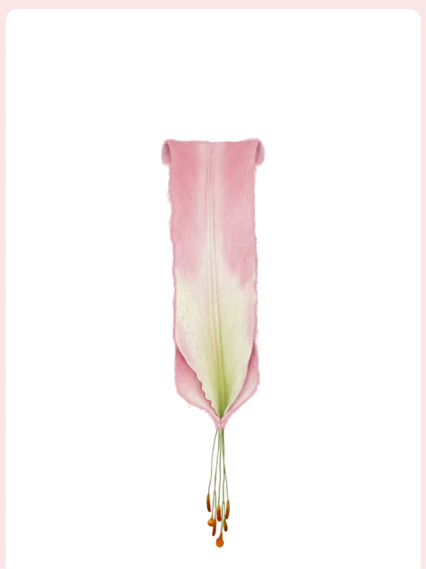Lily petal knitted scarf women's gentle wind versatile plush sense niche warm scarf