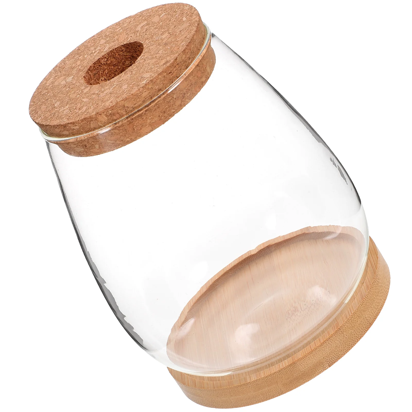 

1 Set Glass Succulent Vase Sturdy Bamboo Design Clear Hydroponic Plant Container Flower Arrangement Vase Terrarium Jar Bookshelf