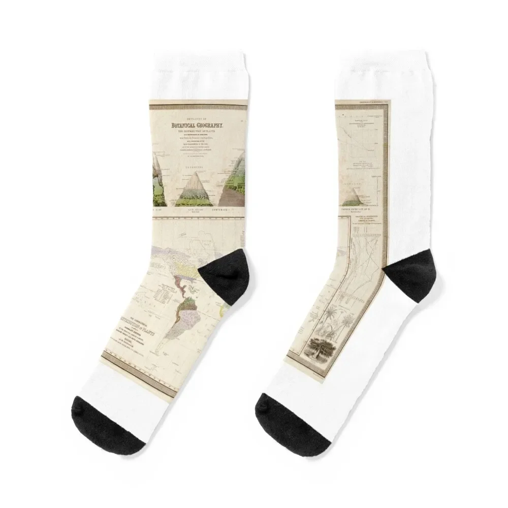 

Global botanical geography, 1840s (C026/8518) Socks Crossfit funny sock designer brand hiking Male Socks Women's