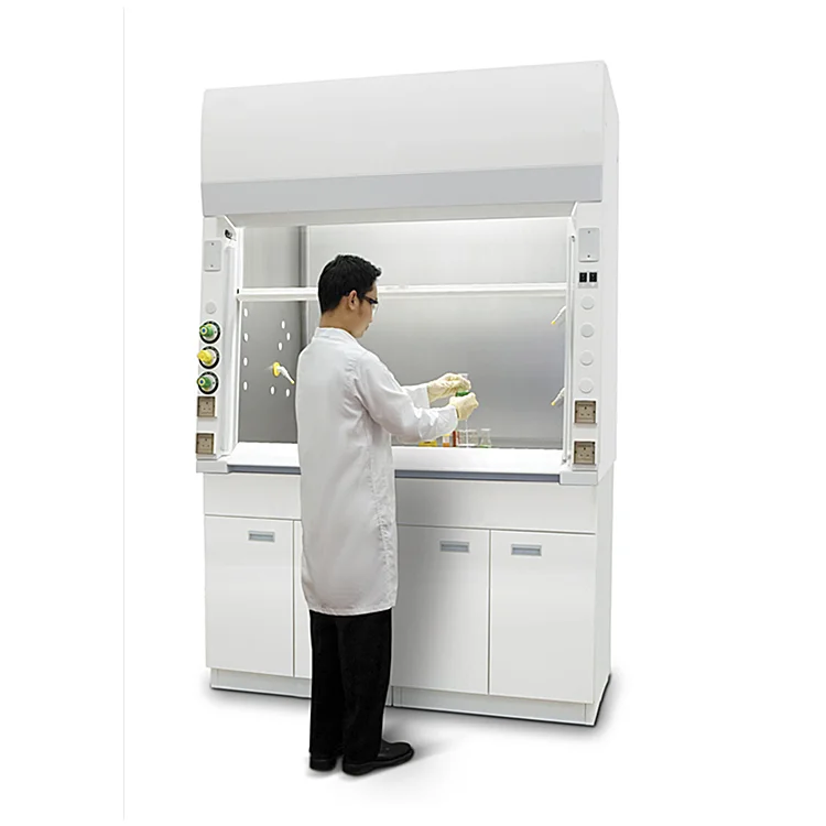High Efficiency Laboratory Fume Hood Chemical Ductless Lab Equipment Ducted PP Fume Hood