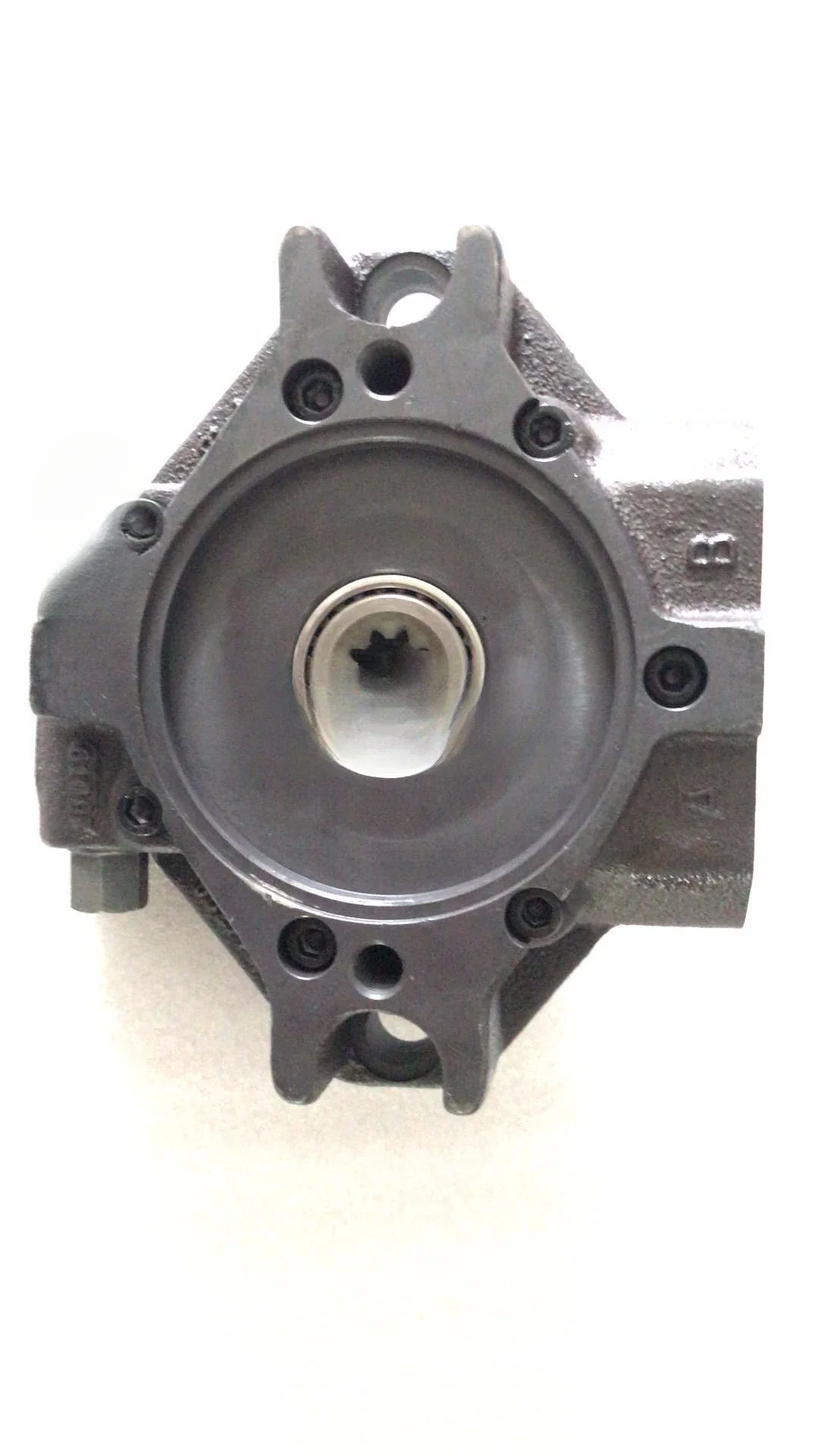 Carga bomba engrenagem, engrenagem