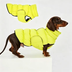 Chaqueta de invierno para teckel: abrigo cálido cortaviento fácil