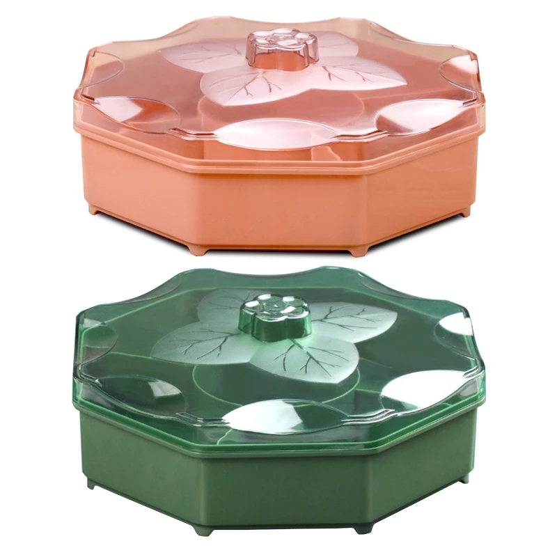 6 Compartments Food Storage Tray Dried Fruit Snack Plate Appetizer Serving Platter for Candy Pastry Nuts Dish Wedding Party