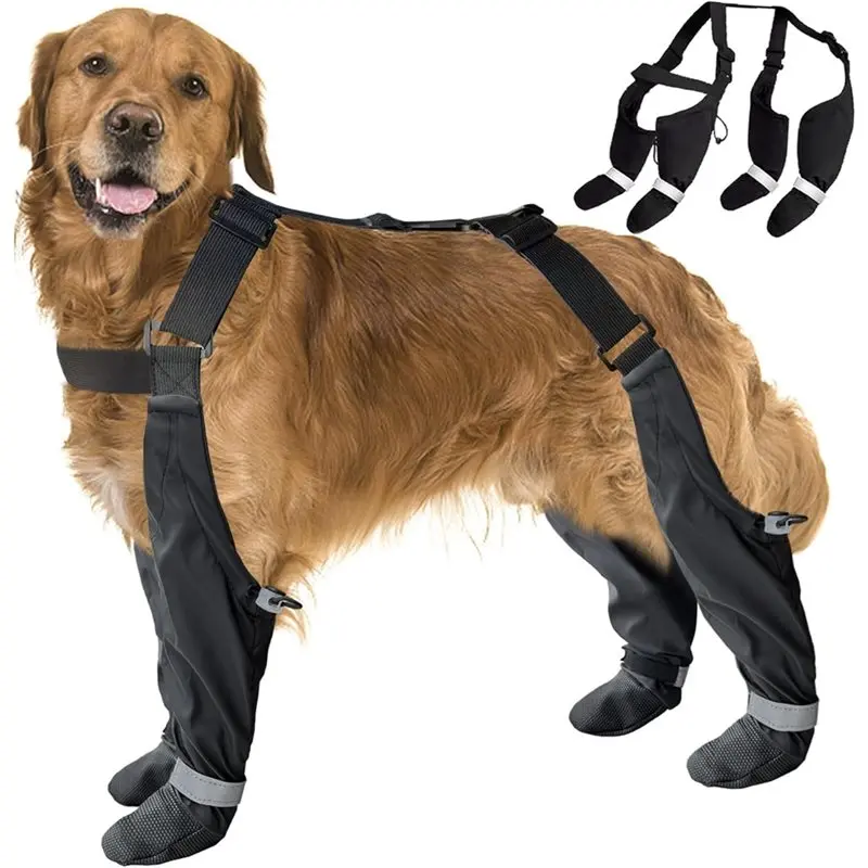 

Waterproof Snow Pants for Large Dogs with Paw Protectors & Legging Shoes - Winter Boots for Dogs