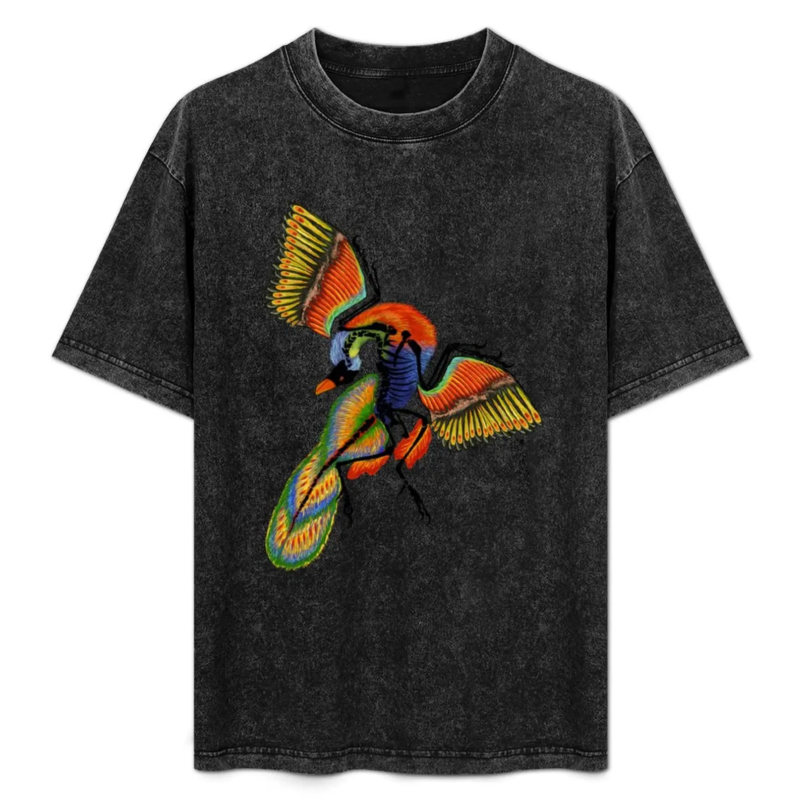 

Archaeopteryx, Lorikeet Inspired T-Shirt Streetwear Print Tee Shirt