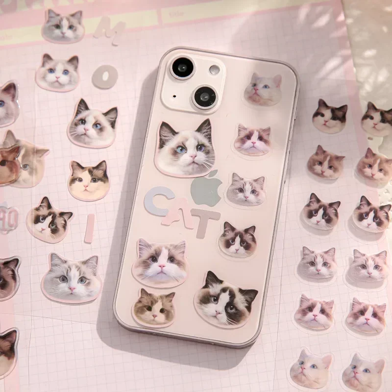 3 Piece Lovely Cat Sticker Real Shot Kawaii Cat Stationery Sticker DIY Decorative Scrapbook Cat Sticker Cute Student Supplies