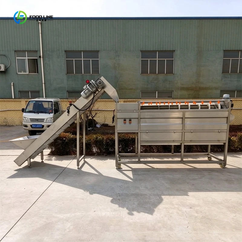 Industrial 304 Stainless Steel Automatic Onion Sweet Potato Carrot Cleaner Potatoes Sweet Potato Washing Machine FL Customized