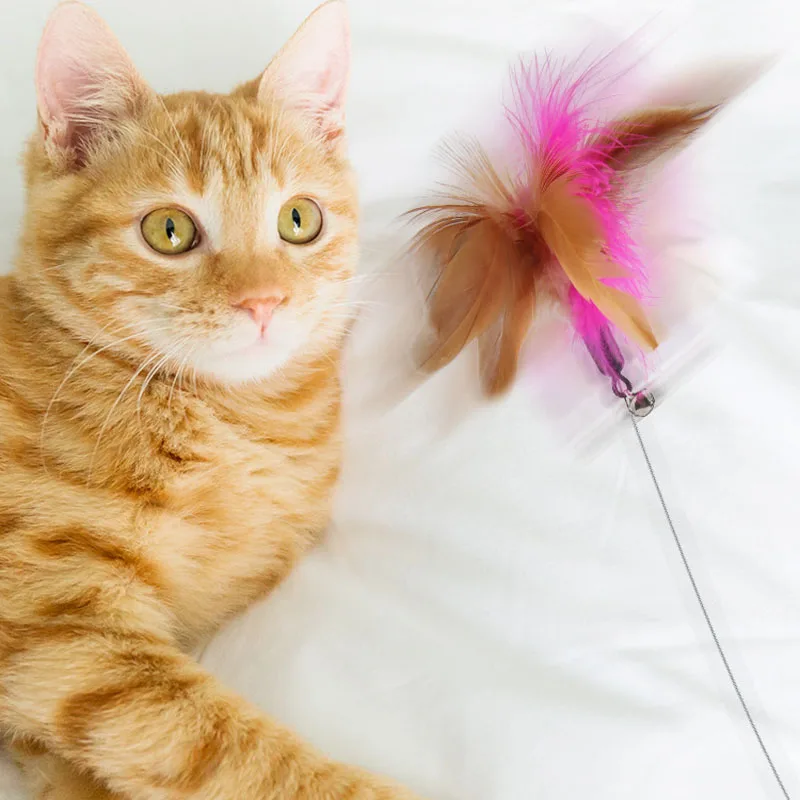 Divertenti giocattoli interattivi per gatti collare di silice Feather Teaser Stick con campana gattino che gioca Teaser Wand Training Toys forniture