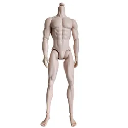 Original Adonis Male Muscle Body Super White Skin Tone 1/6 Dolls Yoga Joints Movable 32cm Male Scale Mannequin Limited Collect
