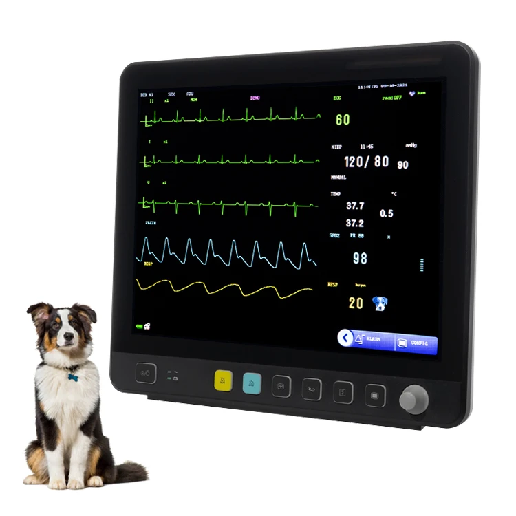 Factory Price 15 Inch Portable Veterinary Monitor Custom Pet Vital Signs Vet Monitor Blood Pressure Ecg