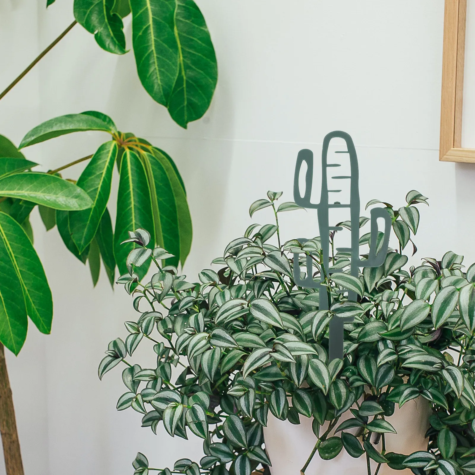 

5Pcs Climbing Plant Support Rack Heavy Duty Plastic Garden Trellis for Roses Peas Morning Glories Potted Plant Holder Flower