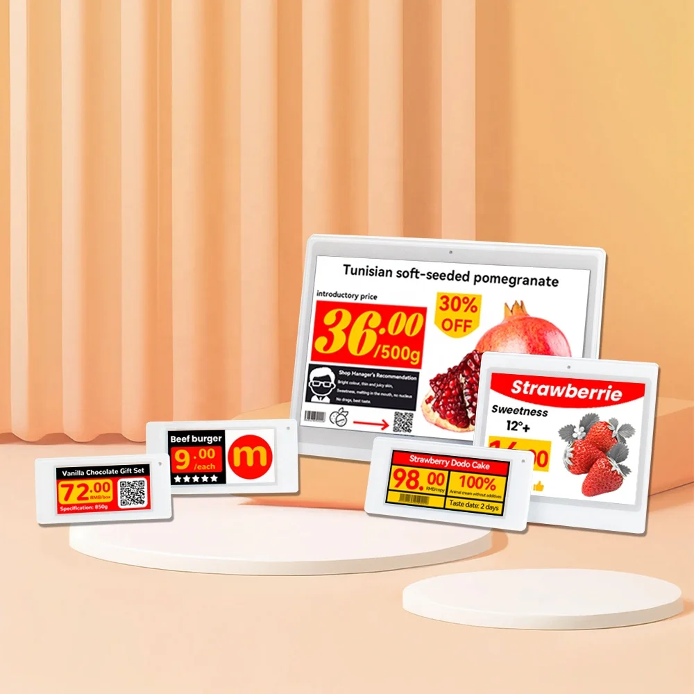 2.13 Inch Display Price Tag ESL System E-ink E-paper Price Label Electronic Shelf Label for Retail