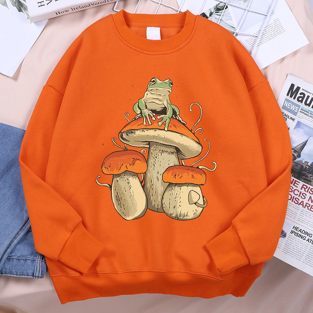 Cottagecore Aesthetic Mushroom Dark Academia Frog Men Hoodie Fashion Hoody Casual Loose Sweatshirts Fleece Clothing Pullover