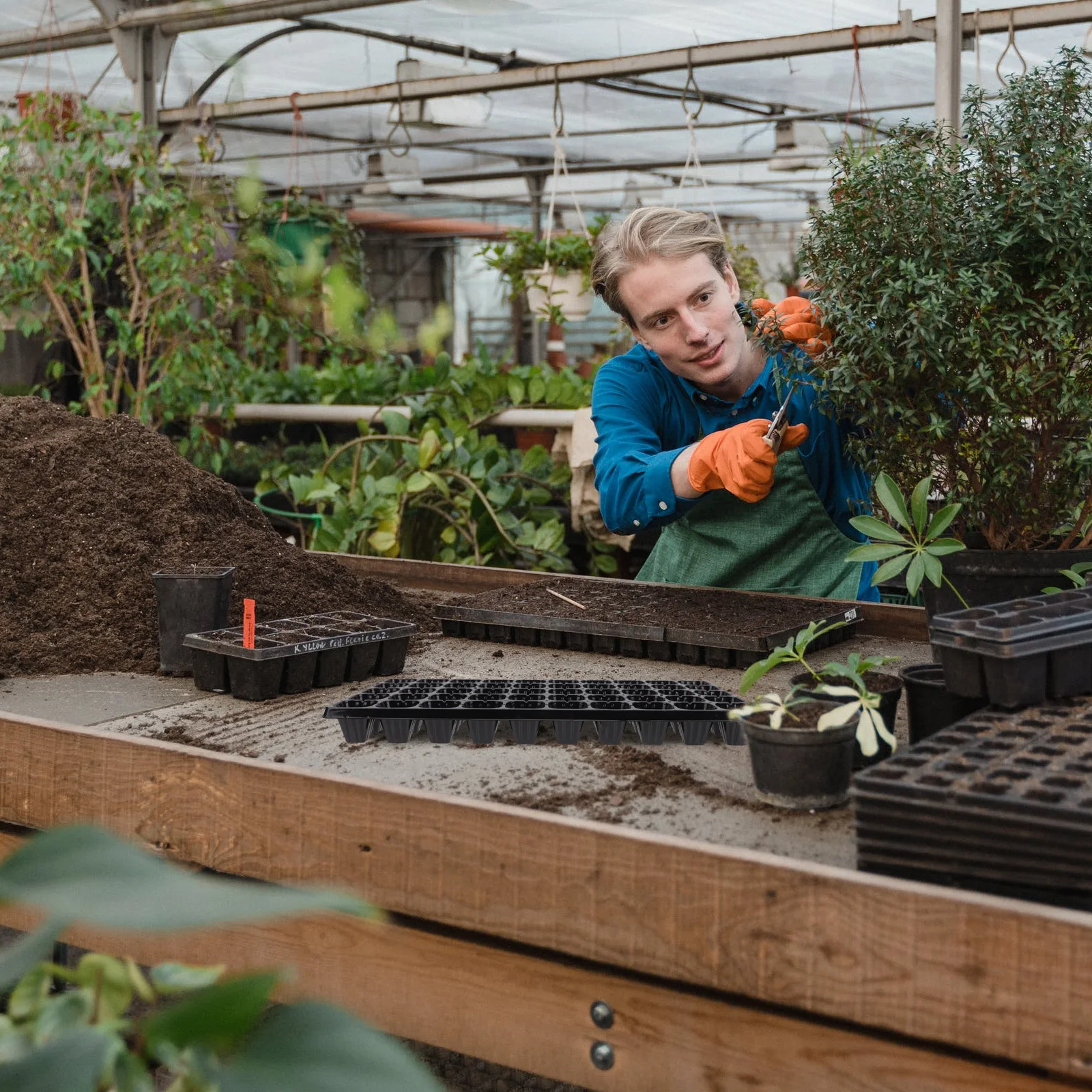 

10Pcs Durable Germination Plates Premium Plastic Plant Start Trays Easy to Use for Greenhouse Gardening Germination Plates