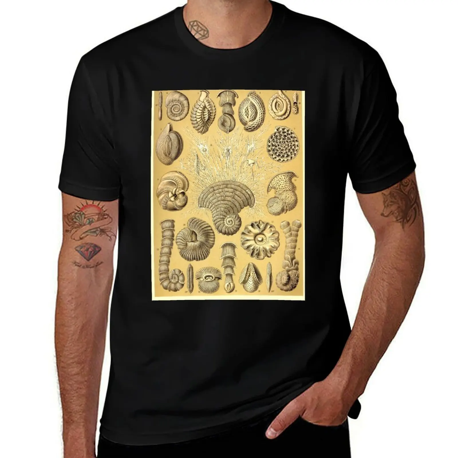 Plate 12. Thalamophora (now Foraminifera), amoeboid protozoans T-Shirt Quick Dry Light Sports T-Shirt