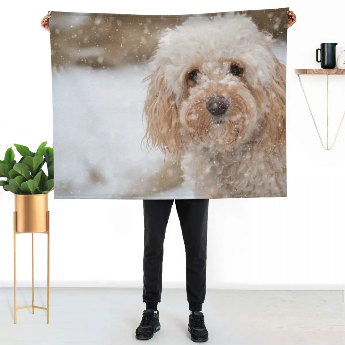 A beautiful Cockapoo in the snow Throw Blanket bed plaid Plaid Luxury Brand Thins funny gift Blankets