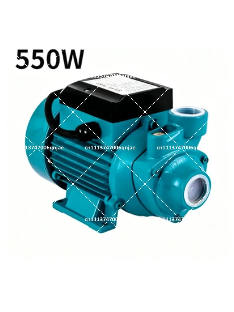 

Cast Iron Self Priming Centrifugal Water Pump 550W 750W High Pressure Booster Pump for Well Pumping