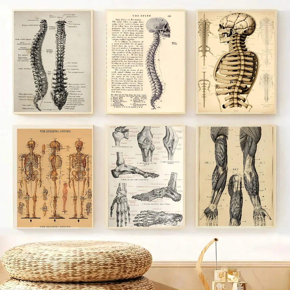 1PC Retro Human Organ System Skeleton Anatomy Poster Paper Print Home Living Room Bedroom Entrance Bar Restaurant Cafe Art