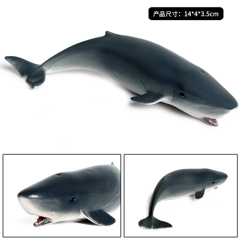 Children\'s solid static simulation marine animal model toy whale shark sperm whale plastic animal model ornaments