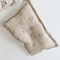 Pillow 27x45cm