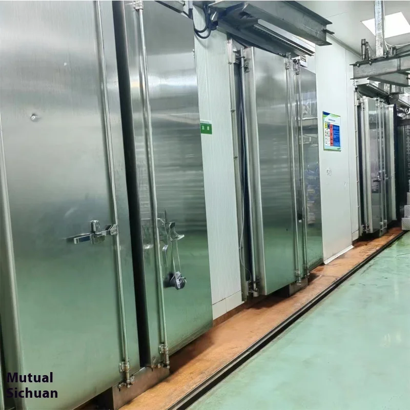 Medicina tradizionale cinese su larga scala, linea di produzione di macchine per liofilizzazione a bassa temperatura sottovuoto completamente automatica per