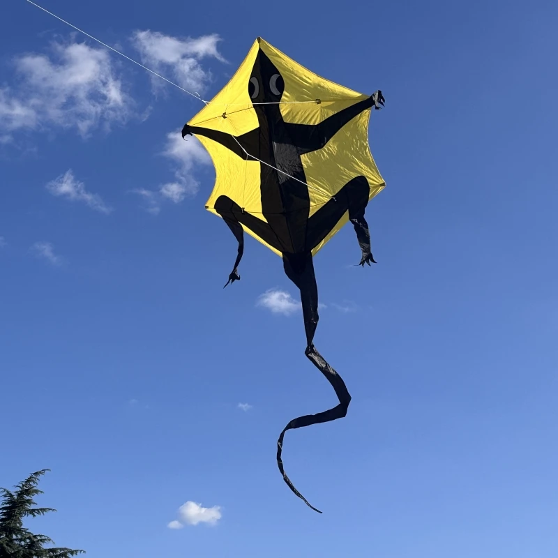 Free Shipping Gecko kites for adults kites fiying Outdoor toys professional kite Outdoor toys sports-leisure flying dragon fun