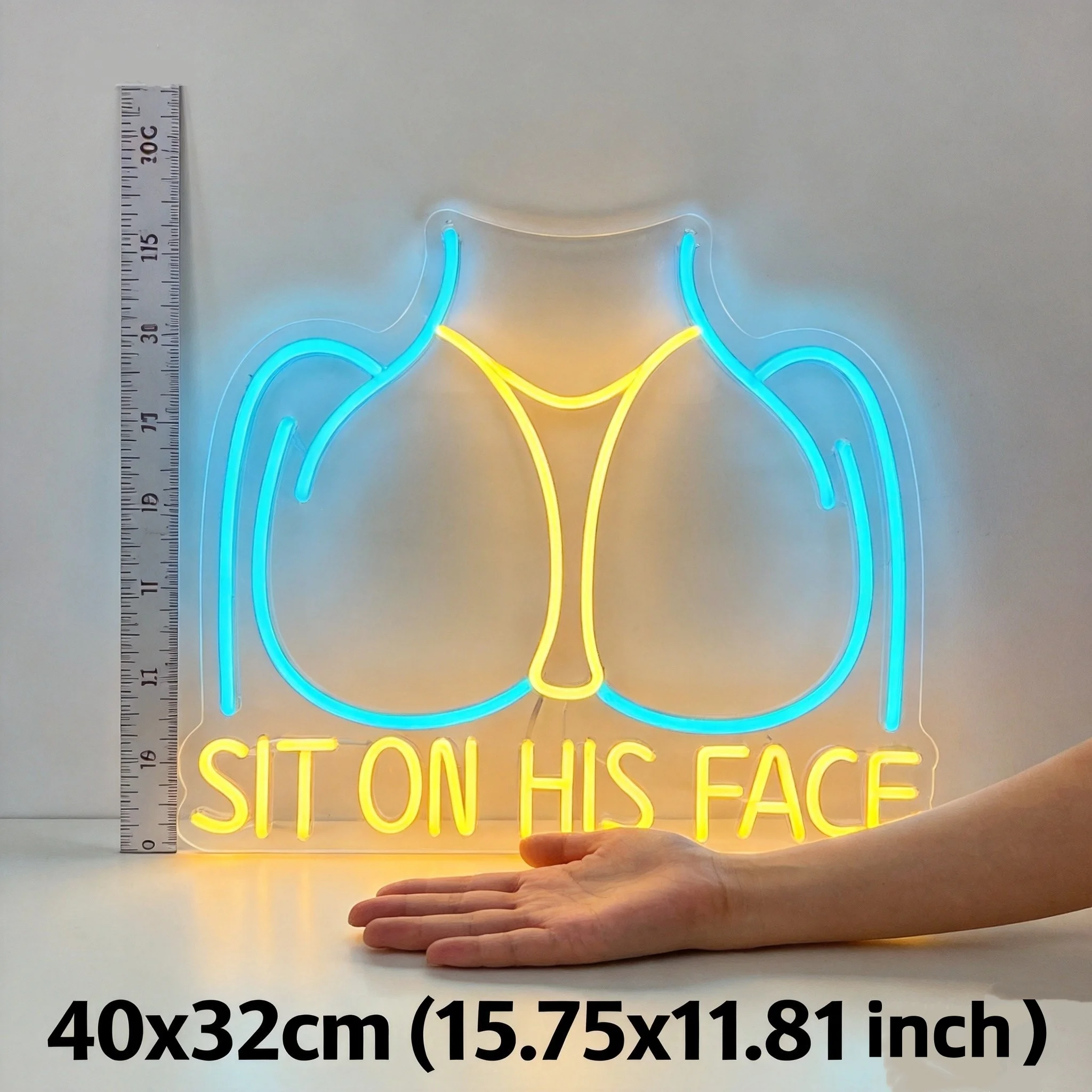 Funny Neon Sign Sit On His Face15.75x11.81 Inch Adult Humor Wall Decor Bedroom Novelty Gift USB LED Light Art Plaque