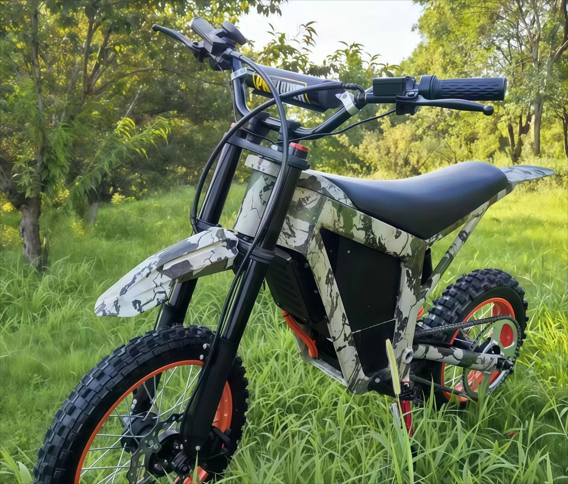 

Electric off-road motorcycle 48V lithium battery two-wheeled mountain racing