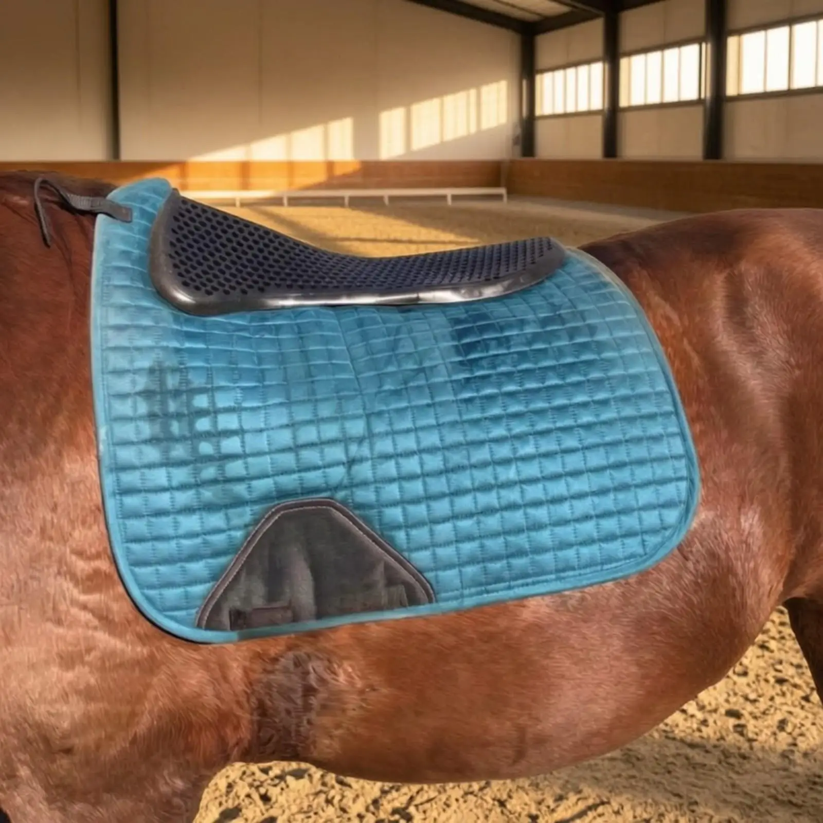 Riding Saddle Pad Horse Silicone Shock Cushion High Resilience Breathable Perforated Design for Training Arena Equestrian Use