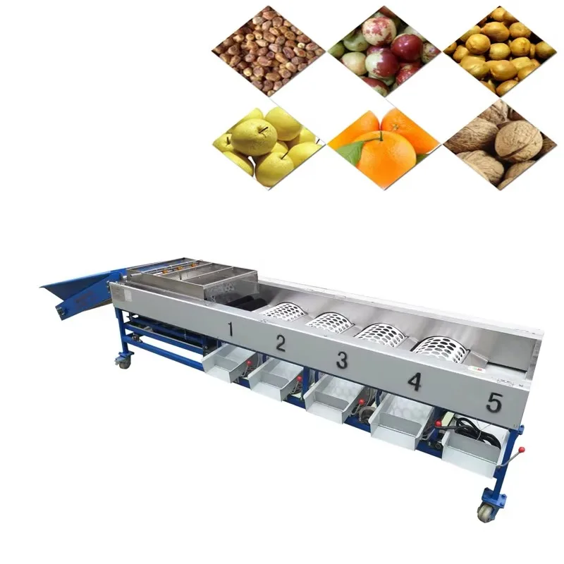 

High Capacity Apple and Onion Grading Machine Easy Operation For Sale Small Batch Processing