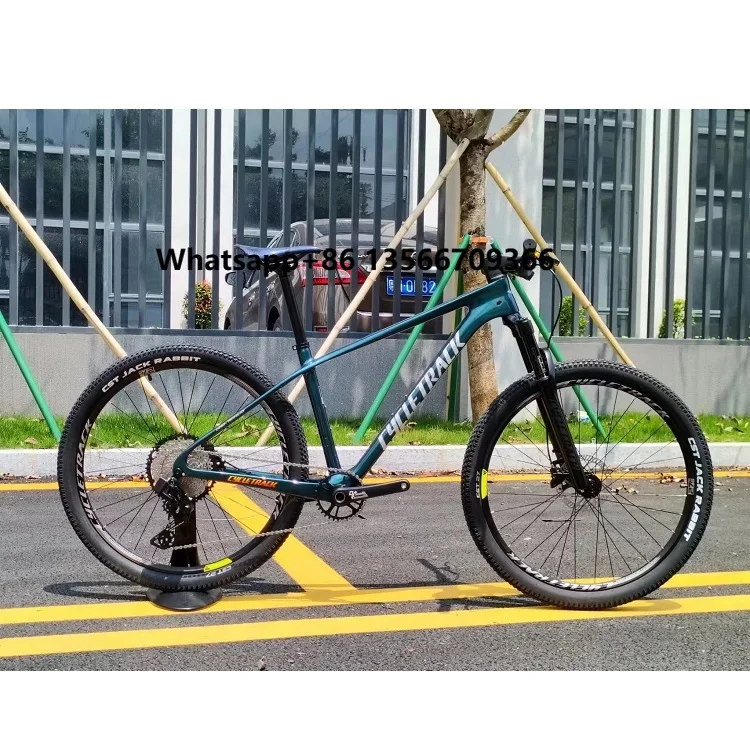 

Cycletrack COZY 12 Speed EDS Carbon Fiber MTB 29 Inch Mountain Bike Adult Other Sport Bicycle Bicicleta Bikes