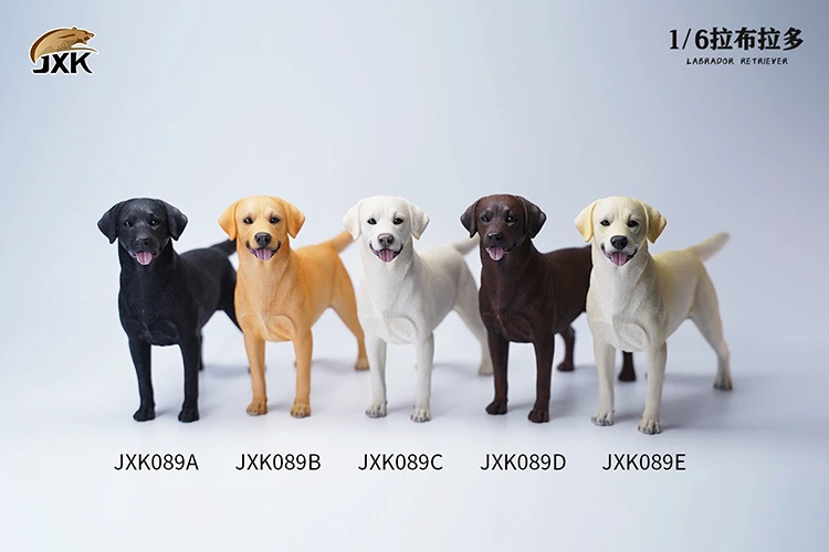 JXK089 1/6 Scale Resin Labrador Cute Animal Pet Dog with Vest Model for 12