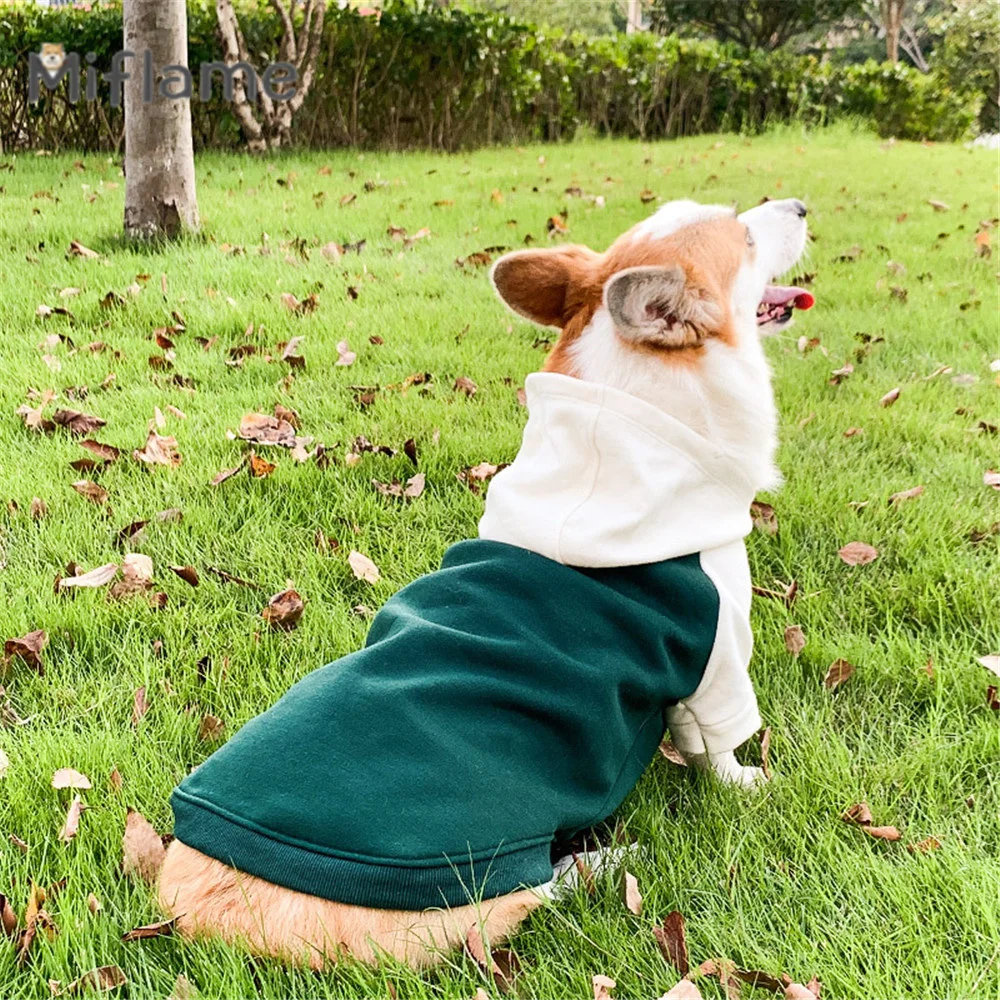 Miflame Spring Autumn Thin Small Medium Dogs Anti-hair Clothing Corgi Schnauzer French Bulldog Hoodie Pet Warm Sweater Coat