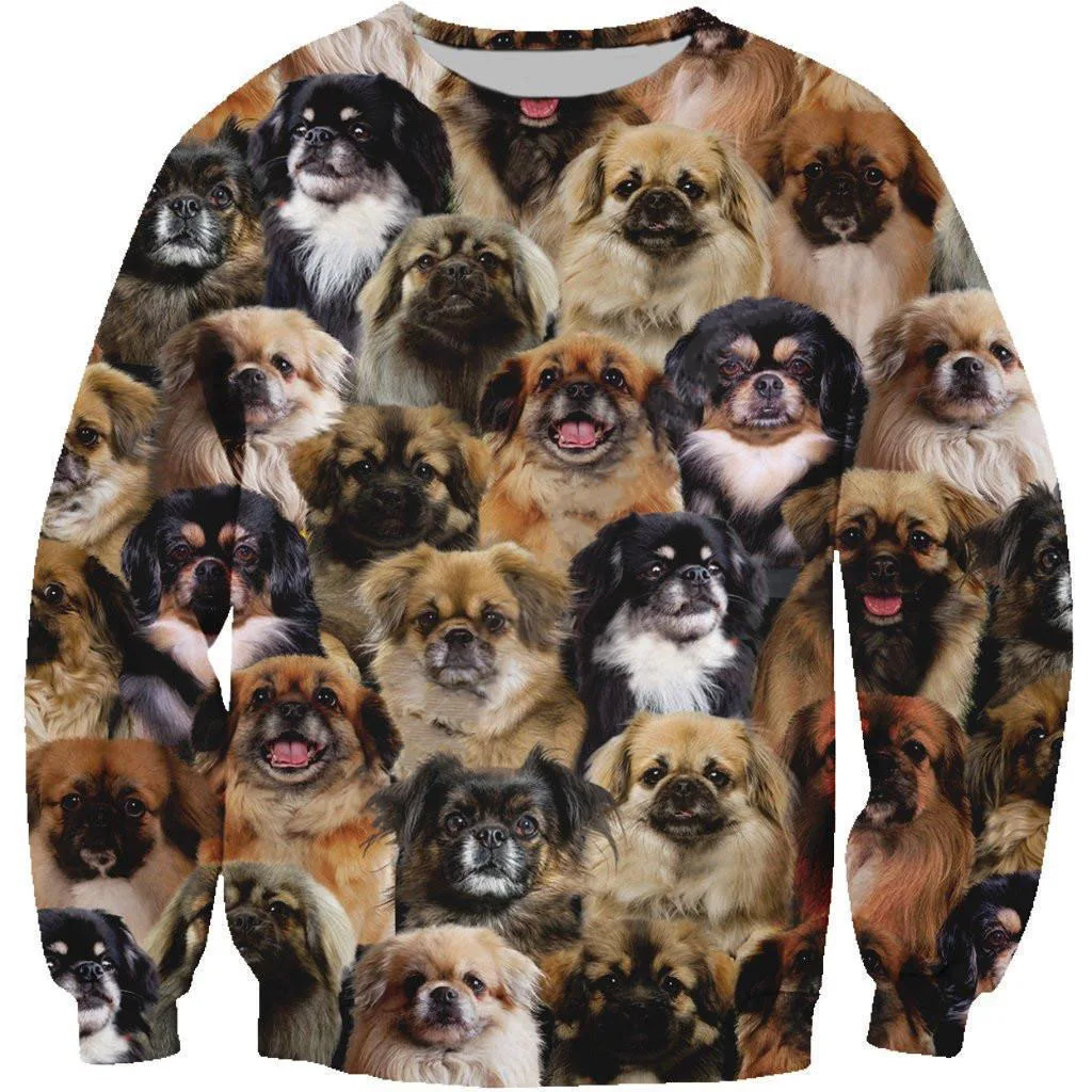 Fun Animal Sweatshirts Cute Hairless Cats Dogs 3D Print Hoodies Women Streetwear Long Sleeve Pullovers Y2k Hoodie Woman Clothing