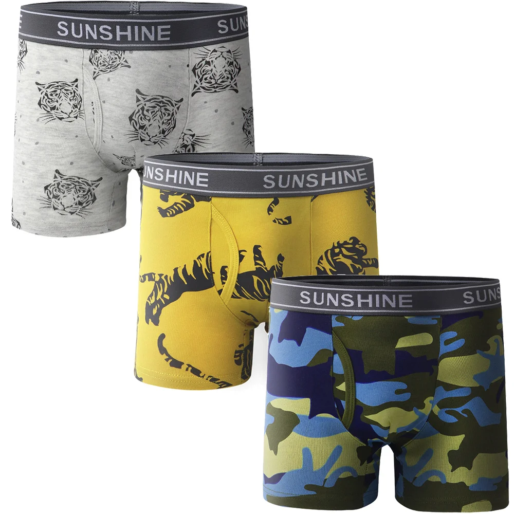 1/3/6 pcs Boys Boxer Briefs Sets 2025 New Kids Cotton Underwear Boy Underpants Teenager Dinosaur Print Soft Children Panties