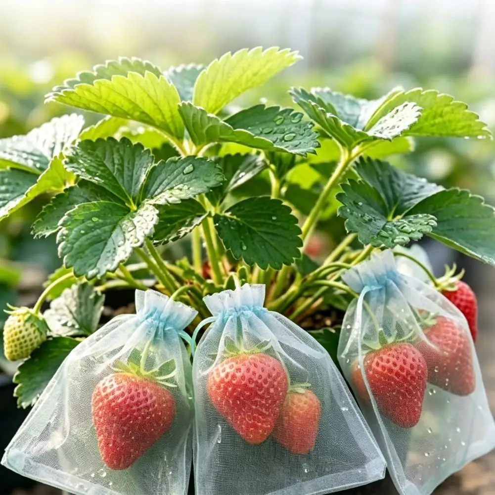 

Insect Protection Bag Drawstring Closure Mesh Fruit Bag Reusable Fine Mesh Covers for Vegetables Protection from Insects Birds
