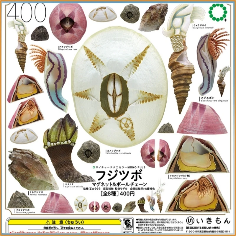 Ikimon Ntc Barnacle…