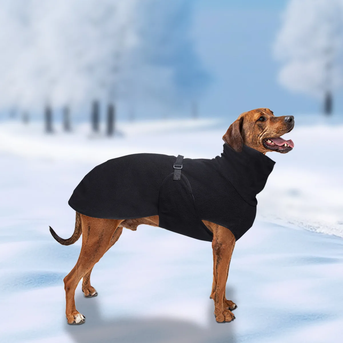 Thumbnail 2 - #53 Highest Rated Pet Winter Clothing to Buy in 2026