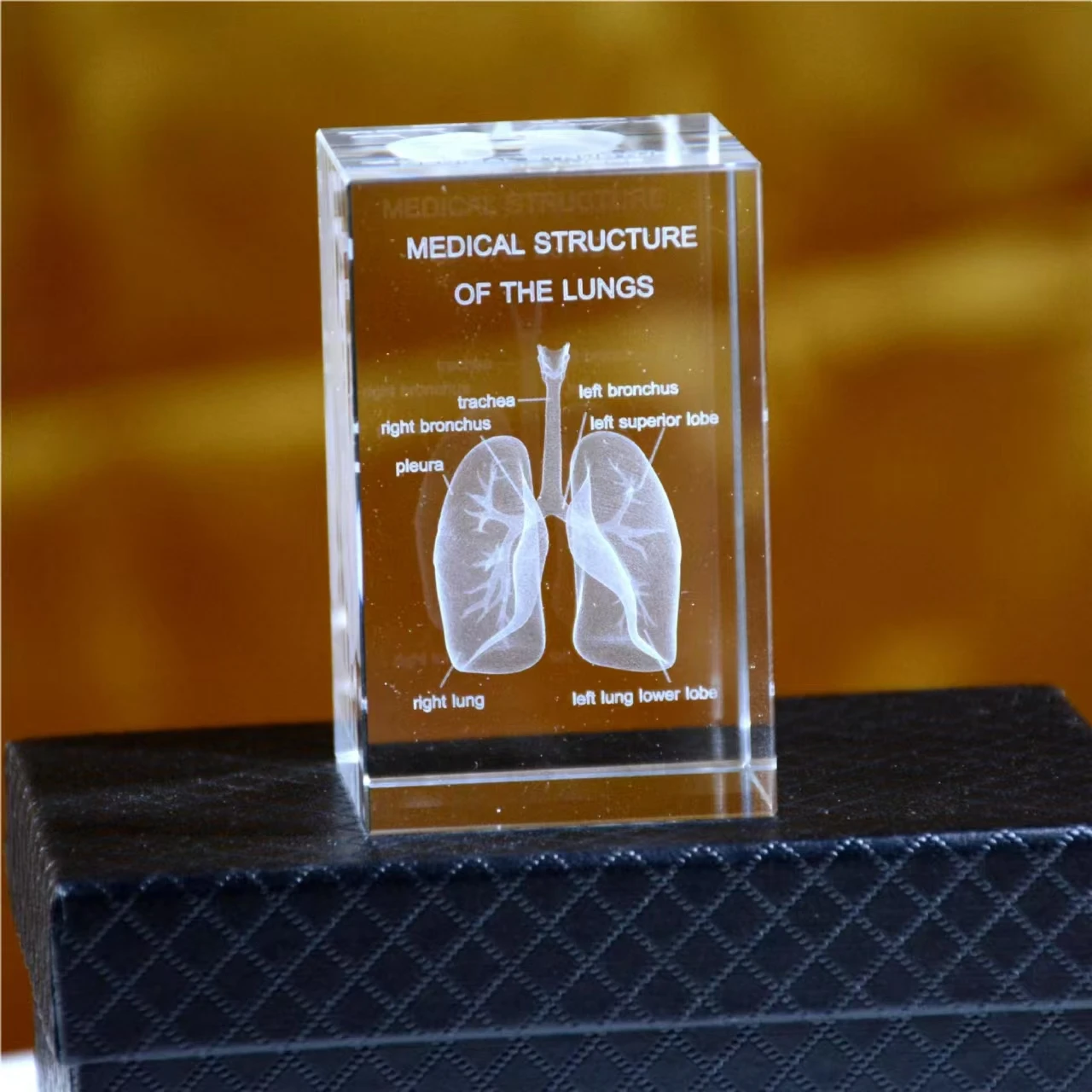 Medical crystal square body carving Figurine K9. Three-dimensional anatomical diagram of the heart, lungs, skeleton, teeth and b