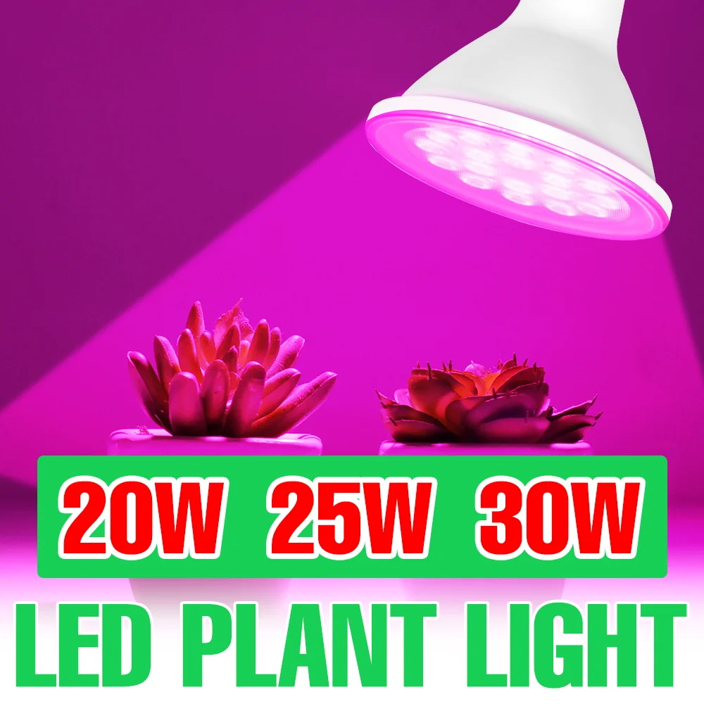 30W LED Full Spectrum Grow Light 220V Indoor Plant Lamp E27/E26 Greenhouse Tent Hydroponics Succulent Cultivation Lighting 110V