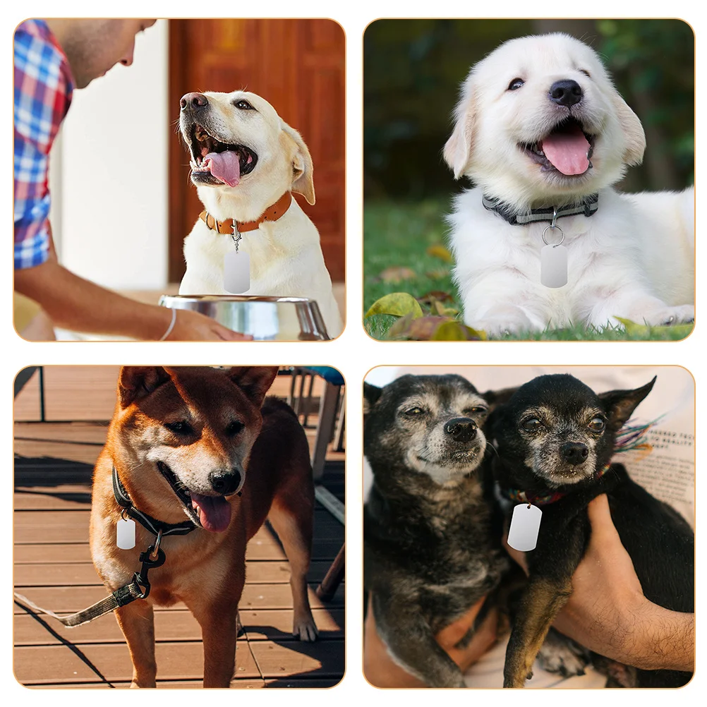 

30pcs Aluminum Cow For Cows Cattle Dog Name Lightweight Durable Pet Id Tags Metal Collar Tags Pets Outdoor