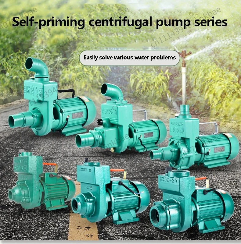 220V Household Self-Priming Sewage Centrifugal Pump,Large Flow 1.5 2 3 Inch Water Pump for Well Septic Tank Waste Water Drainage