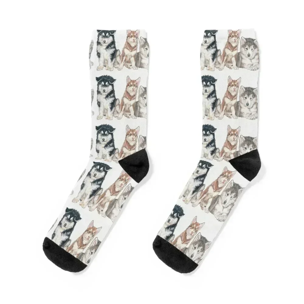 

Alaskan Malamute Puppies Socks sports and leisure men cotton high quality warm winter sport Mens Socks Women's