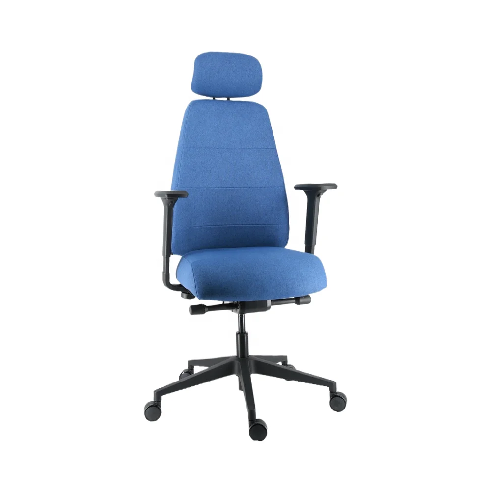 

ZC02 Ergonomic Office Chair with Heavy Duty Lumbar Support and Adjustable Armrest Modern Executive Chair for Home or Office Use