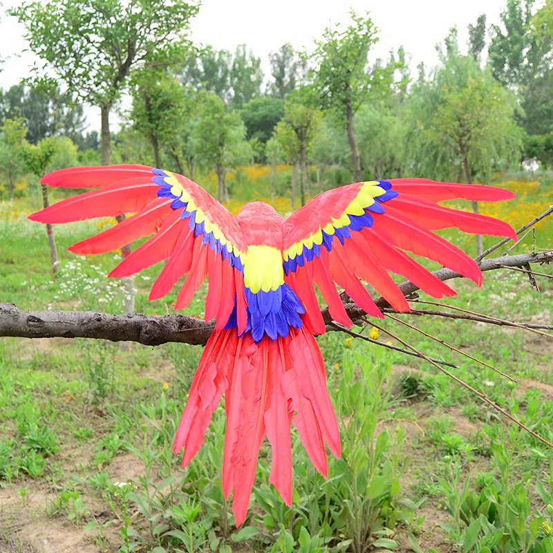 red real life parrot model foam&feather wings bird gift about 45x60cm d0185