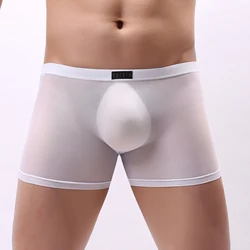 Mens Sexy See-Through Briefs Sheer Mesh Penis Bulge Pouch Underwear Gay Lingerie  Elastic Male Panties Breathables