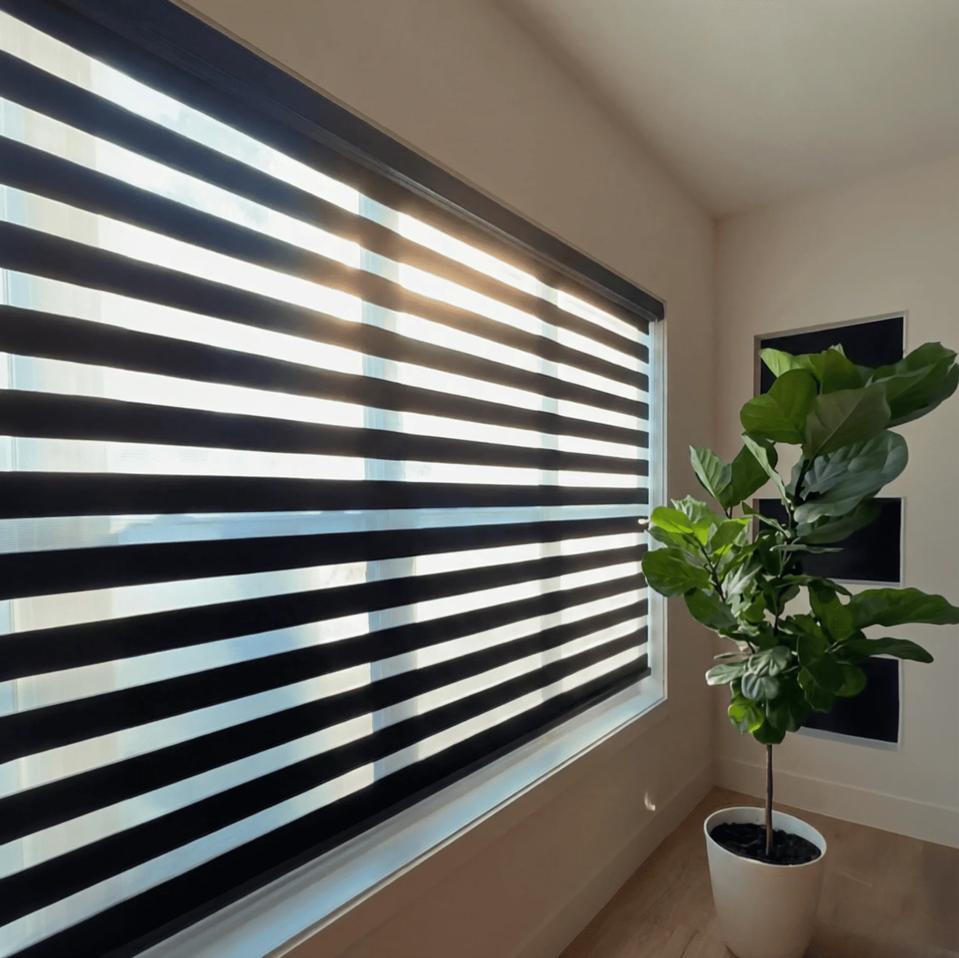 China Factory Smart Tuya WiFi Google Control Motorized Zebra Blinds Blackout Windproof New Design for Window Wholesale