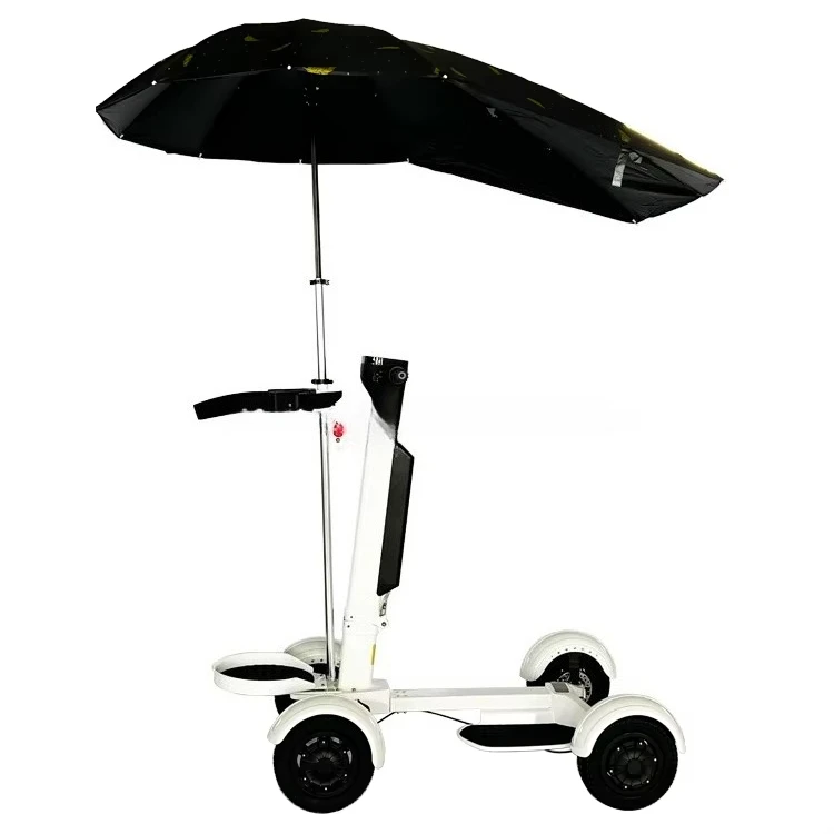 Factory Wholesale 10 Inch Foldable Electric Golf Scooter Skateboard 1000W 48V Four Wheels Golf Skate Caddy with Seat Option