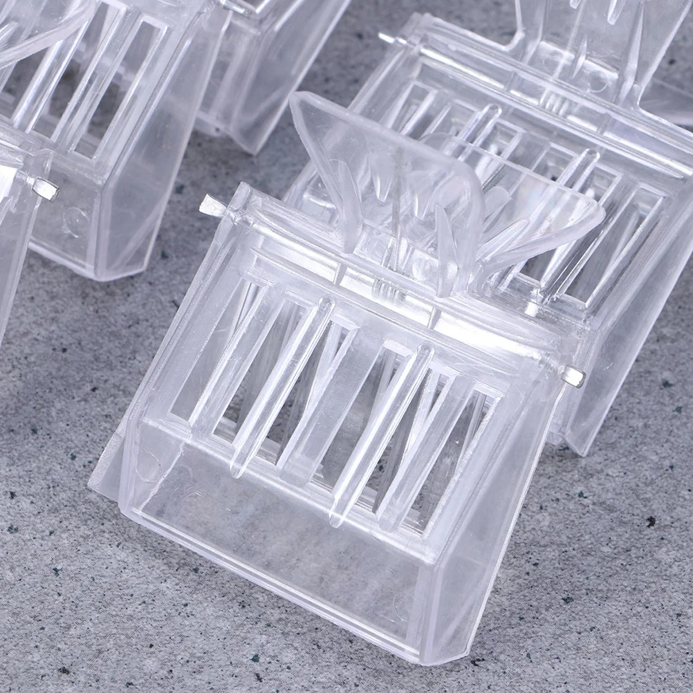 Juego de 6 uds de Clips para apicultura, herramienta receptora de reina de plástico resistente, bordes sin rebabas, Clip de jaula para manipulación segura de abejas esencial